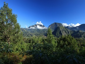 Réunion