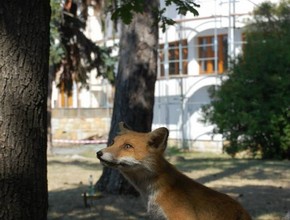 Mělnické kulturní léto: Letní park u MKD